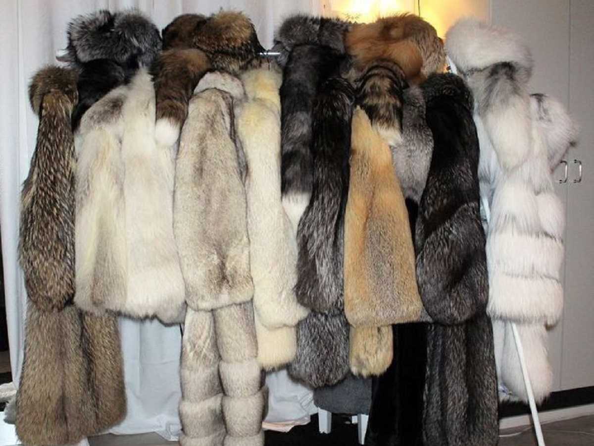 Мех, как инвестиция. Почему дорогие вещи — это выгодно?