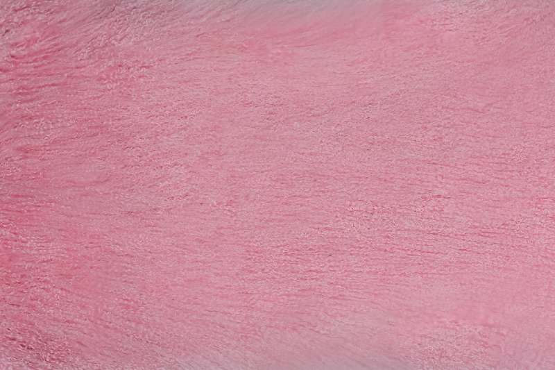 Меховые пластины лама цвет розовая